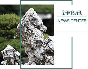 雷平镇